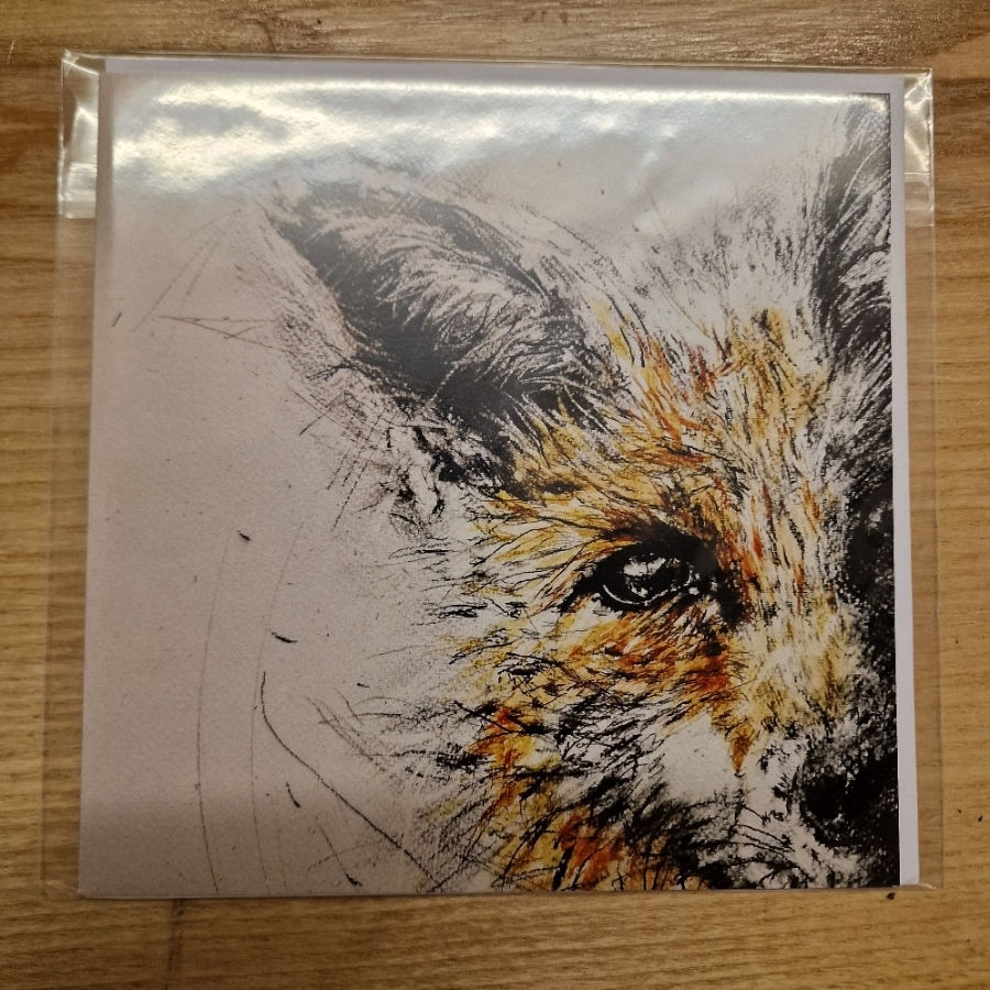 Fox Cinnibar Card