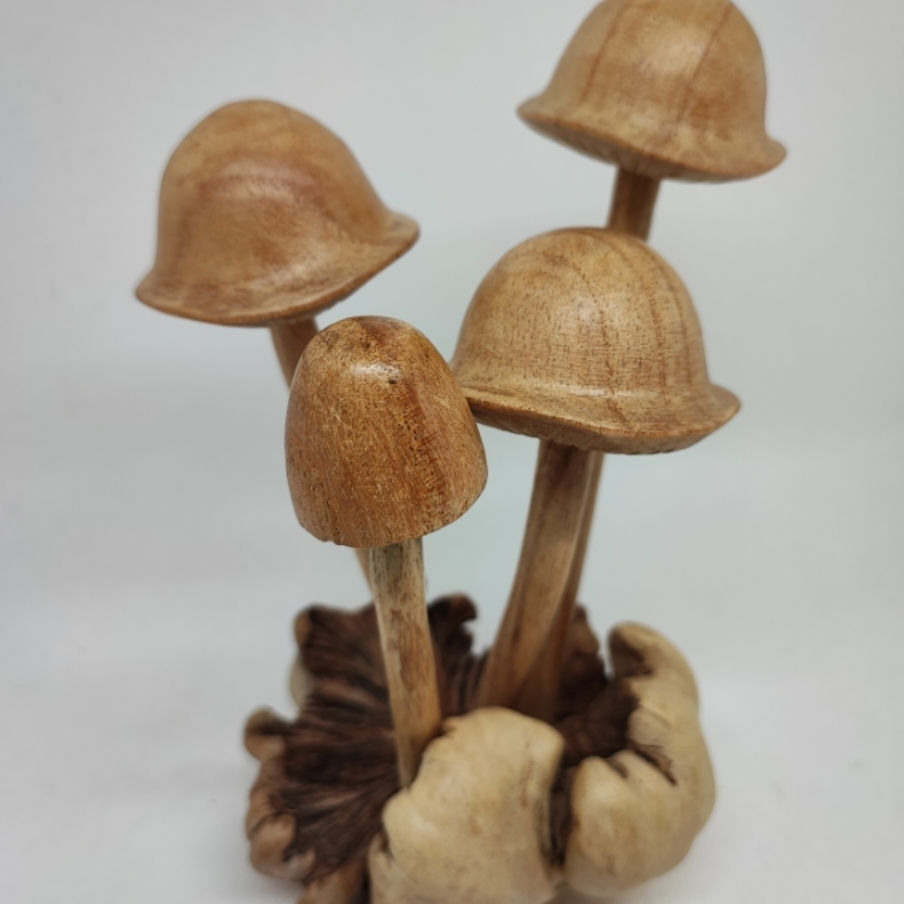 Mushrooms 4 Hat Cap On Parasite Wood