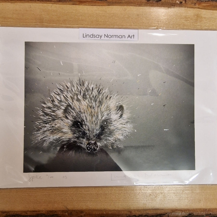 Hedgehog Spike A3 Print