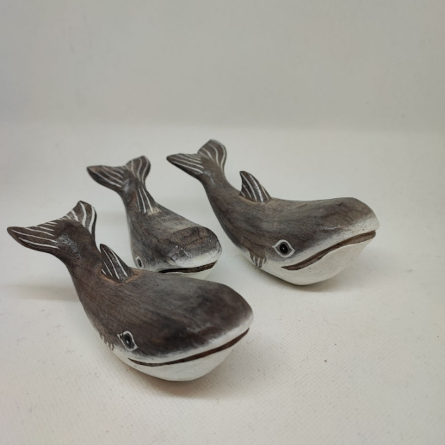 Whales Family