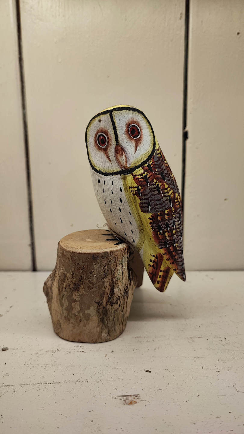 Barn Owl Small