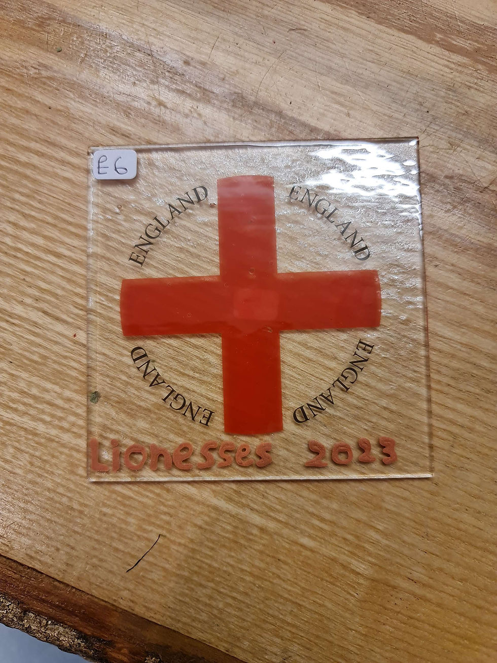Lionesses 2023 Coaster