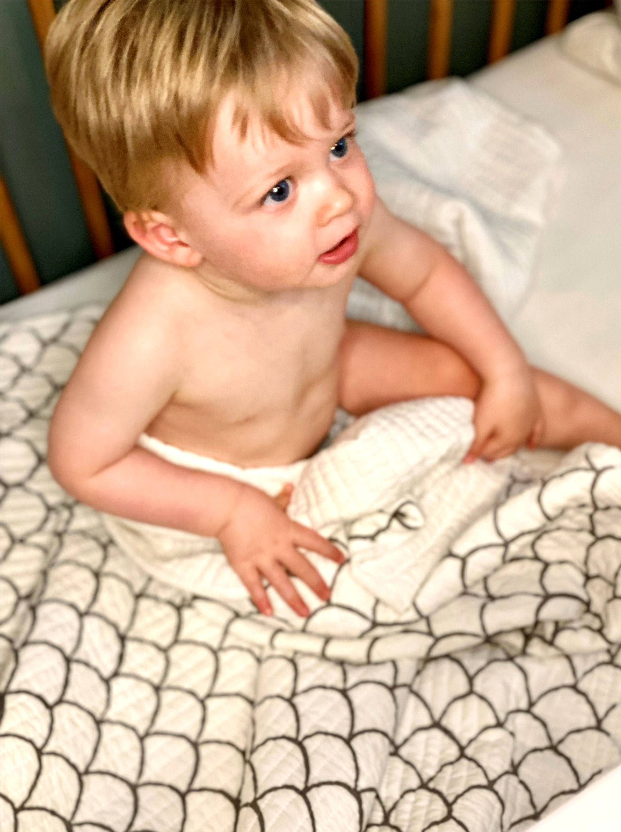 HEIRLOOM QUILT BLANKET