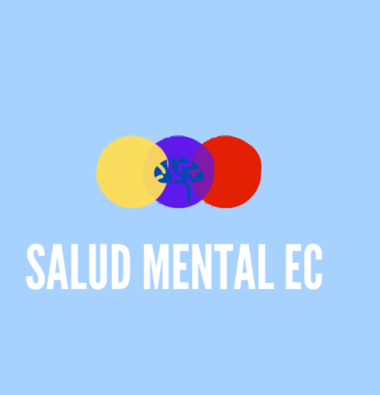 Foto del escritor: Salud Mental Ecuador 