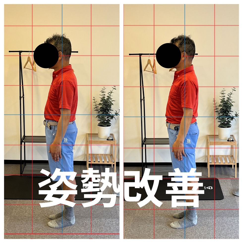 姿勢改善