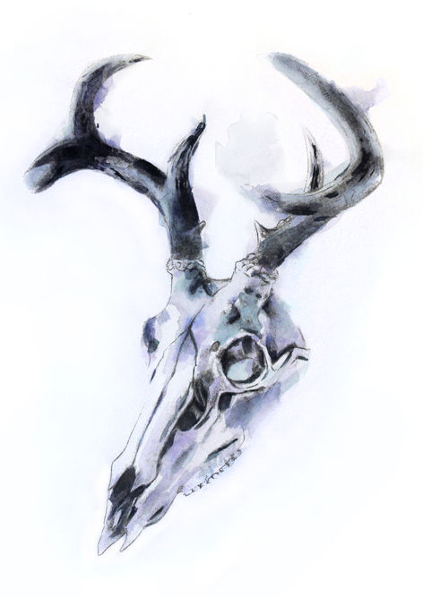 deer a4 2#.jpg
