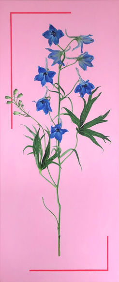 schilderij delphinium bloem