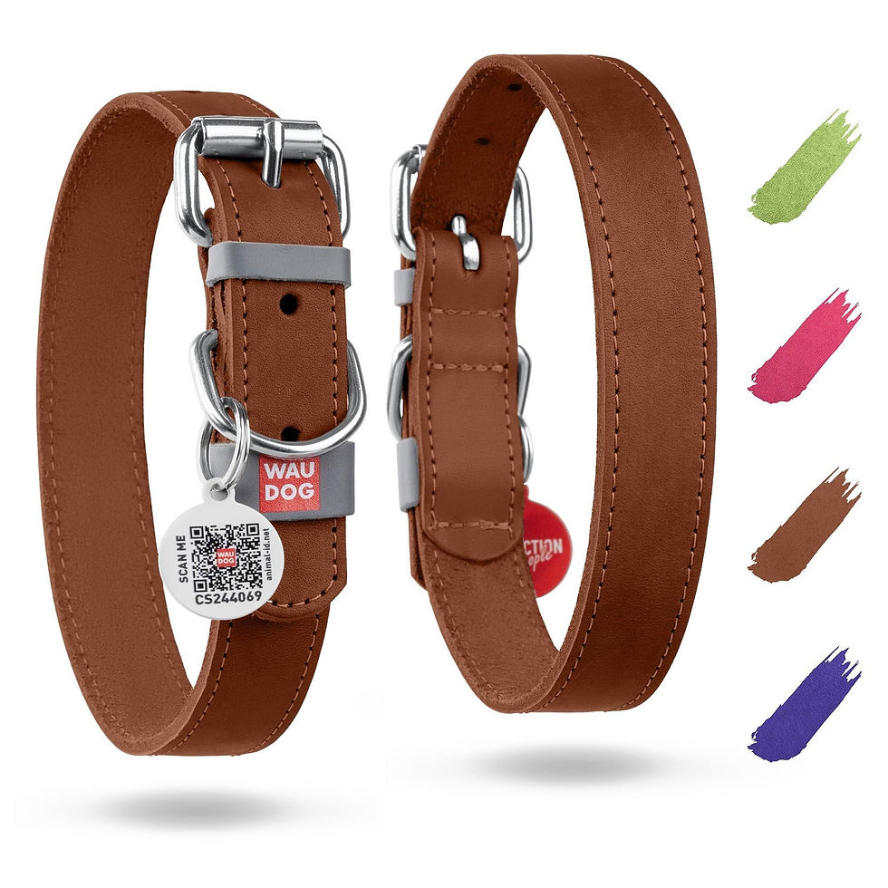 Thumbnail: Long Lasting Leather Dog Collar for XSmall Dogs 811 inch Neck x 0.5 inch Wide