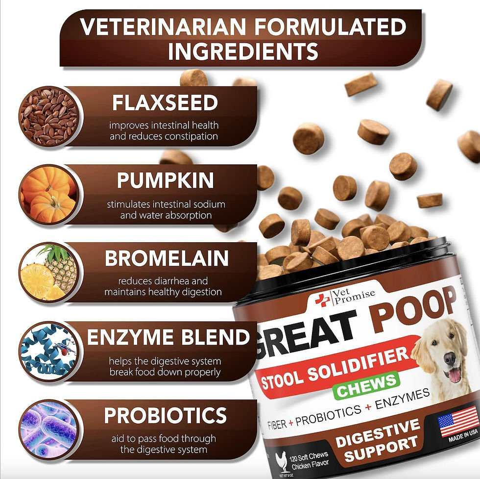 Thumbnail: Great Poop Probiotics for Dogs Dog Stool Softener High Fiber for Dogs 120 Chews