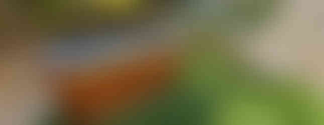 Bain Nordique TINY à la VILLA RHONA sur la VIA RHONA par EauFeeling