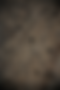 dirt and tracks.png