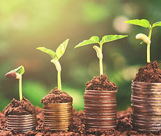 Diseño sin título (1).jpg