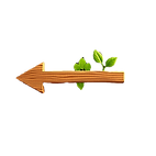 arrow showing direction in storyboard sh