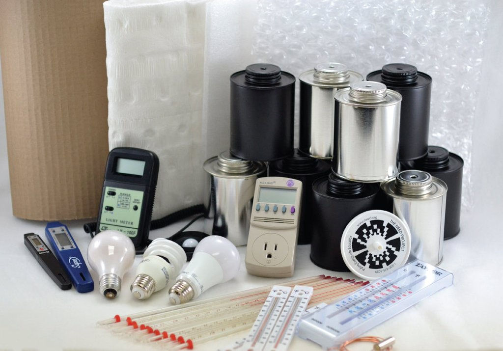 NEED Mentoring and Monitoring