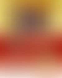 新春富士ニューイヤーコンサートイメージ