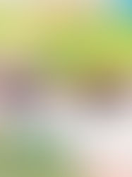 0歳から楽しむわくわくオーケストラ教室 チラシ表面