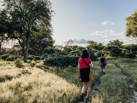 Namibia Tag 8: Ostern & Eigenarbeit