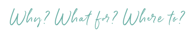 why-what-where.png