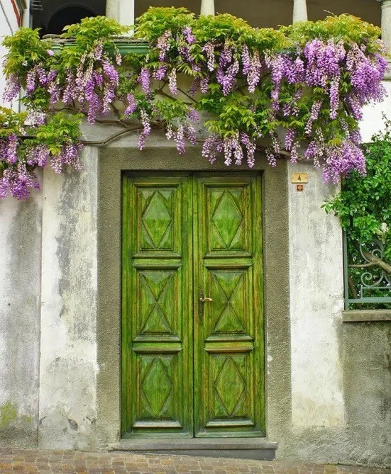 Green front door. Purple wisteria at house entryway| Pink flowers with mint green front door | Interior design studio | Interior design blog | Interior designer | What does your front door colour say about you