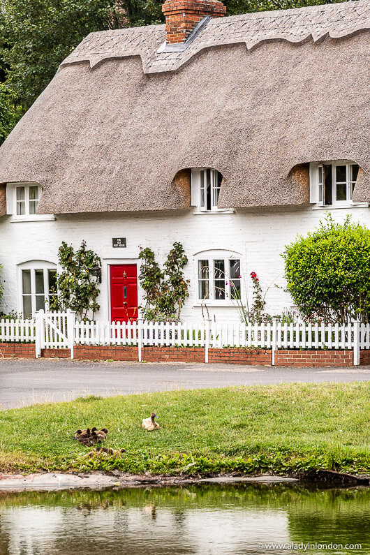 Interior design studio | Interior design blog | Interior designer | Traditional thatch roofed cottage with red door and painted white facade