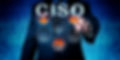 Male corporate executive touching CISO o
