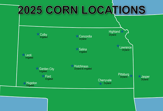 2025 Corn.png