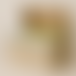 Caja decorativa con tapa abierta mostrando carpetas internas ordenadas para guardar documentos en casa.