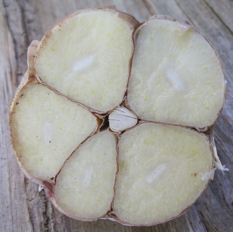 Khabar Cross Section