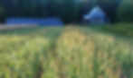 farm_and_house.jpg
