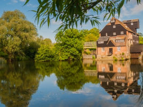 Hop over to Houghton #FocusFriday