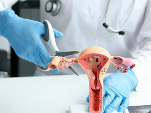 Tempo Após Cirurgia de Retirada de Trompa (Salpingectomia): Quando Posso Fazer a Transferência de Embriões?