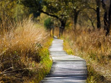 chemin