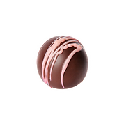 Chocolate Praline