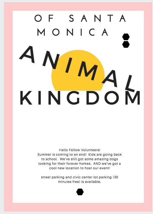 Animal Kingdom Event