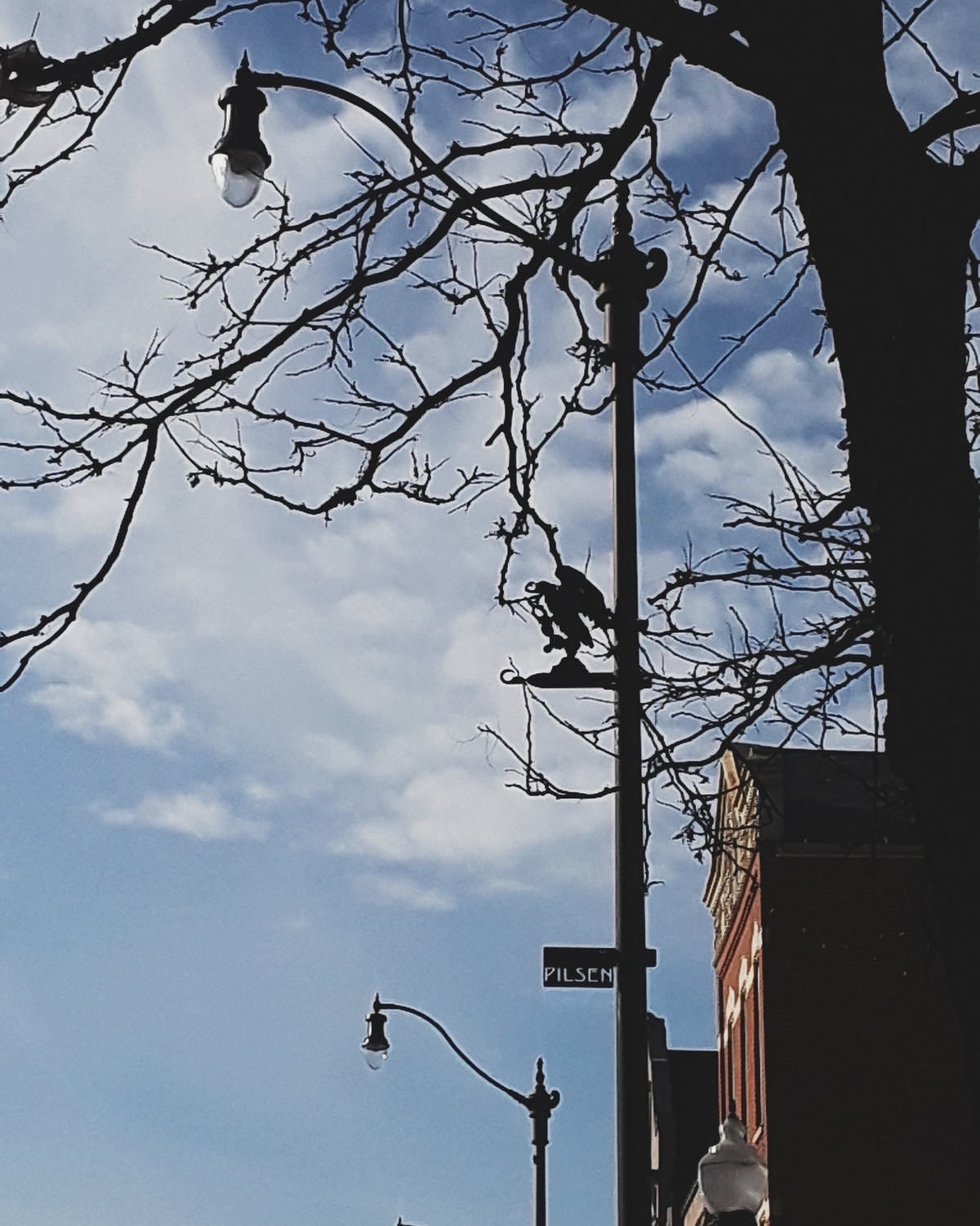 Pilsen Neighborhood