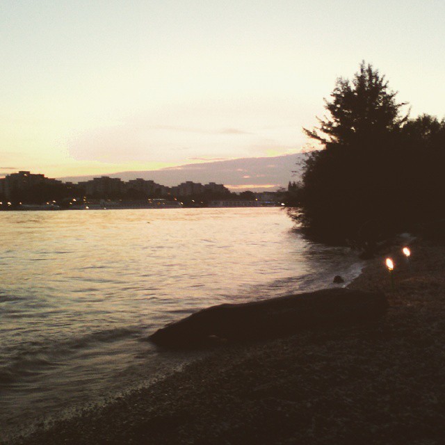 The banks.