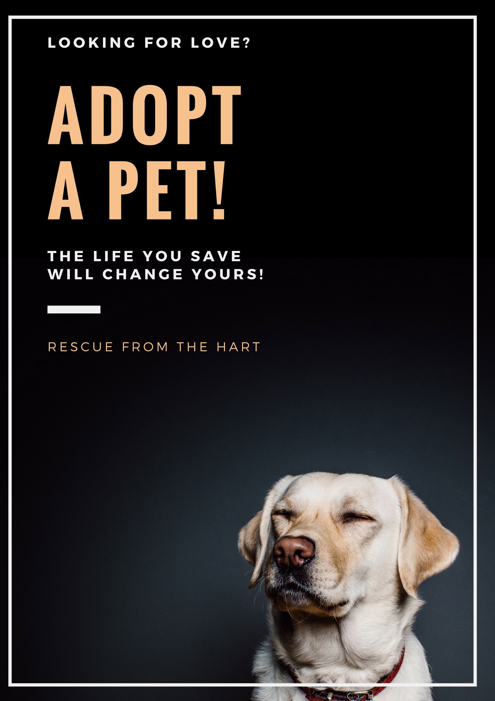 Rescue from the Hart