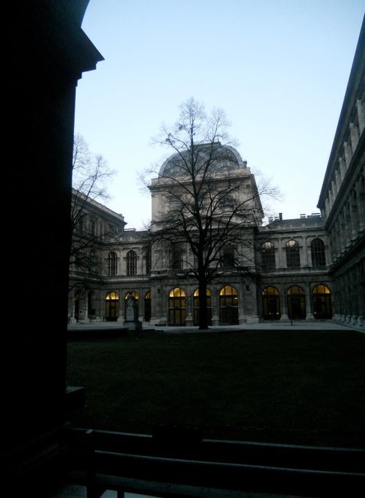 University of Wien.