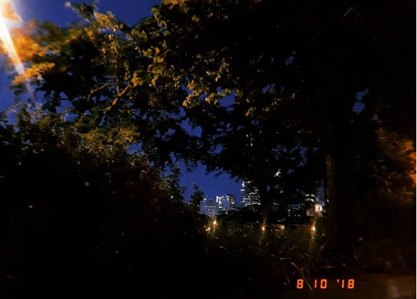 Concrete Jungle. Aug. 2018.