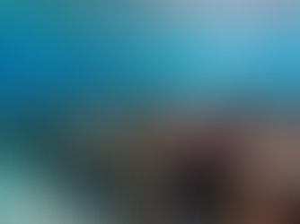 Snorkelers exploring the underwater world in Curaçao with colorful coral reef and tropical marine life