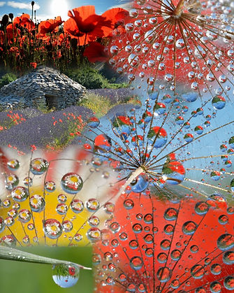 62165886_353074842060805_536276956248172