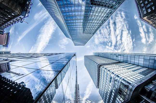BIM Services Cronquest