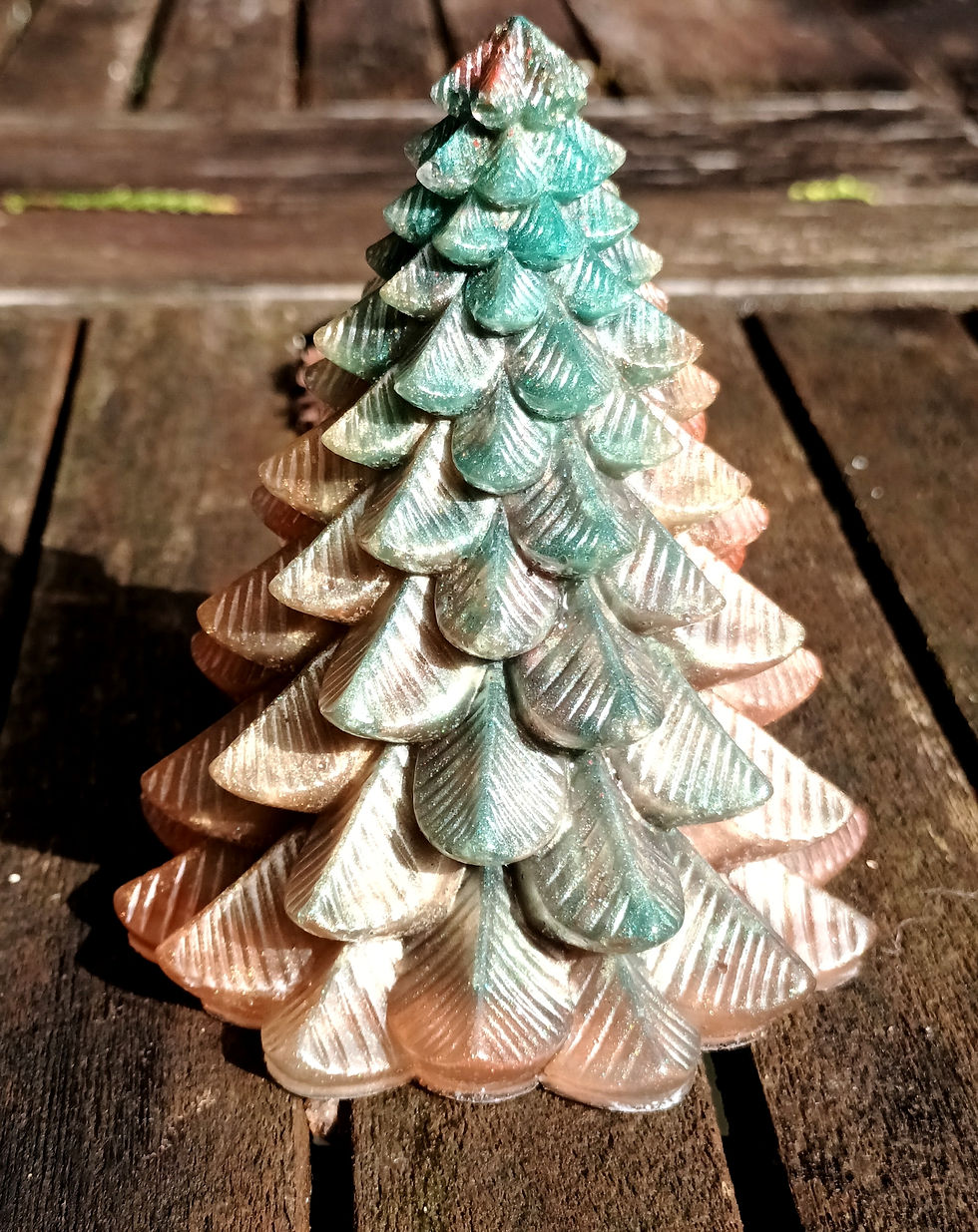 Miniatura: Sapin