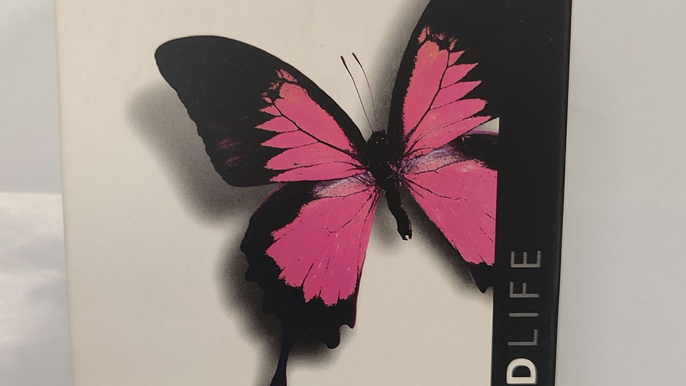 Thumbnail: Canon MP 550/551