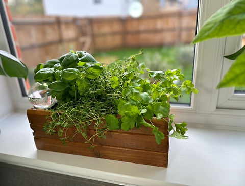 Indoor on sale herb pots
