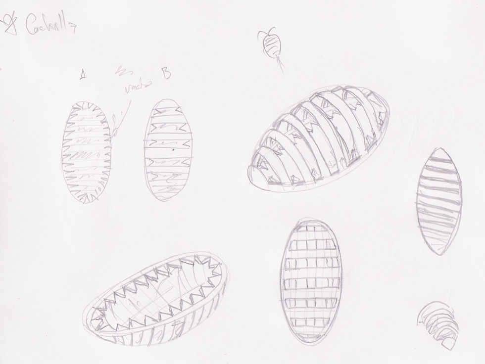 Boceto de una de las piezas a desarrollar, basado en la forma de una cochinilla de humedad.