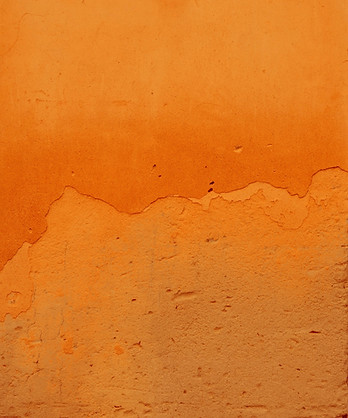annie-spratt-g5DkG2ZF7ZY-unsplash_edited_edited.jpg
