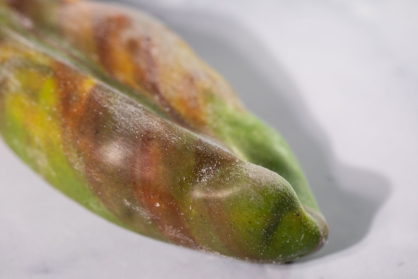 Prăjitură ”Fistic”