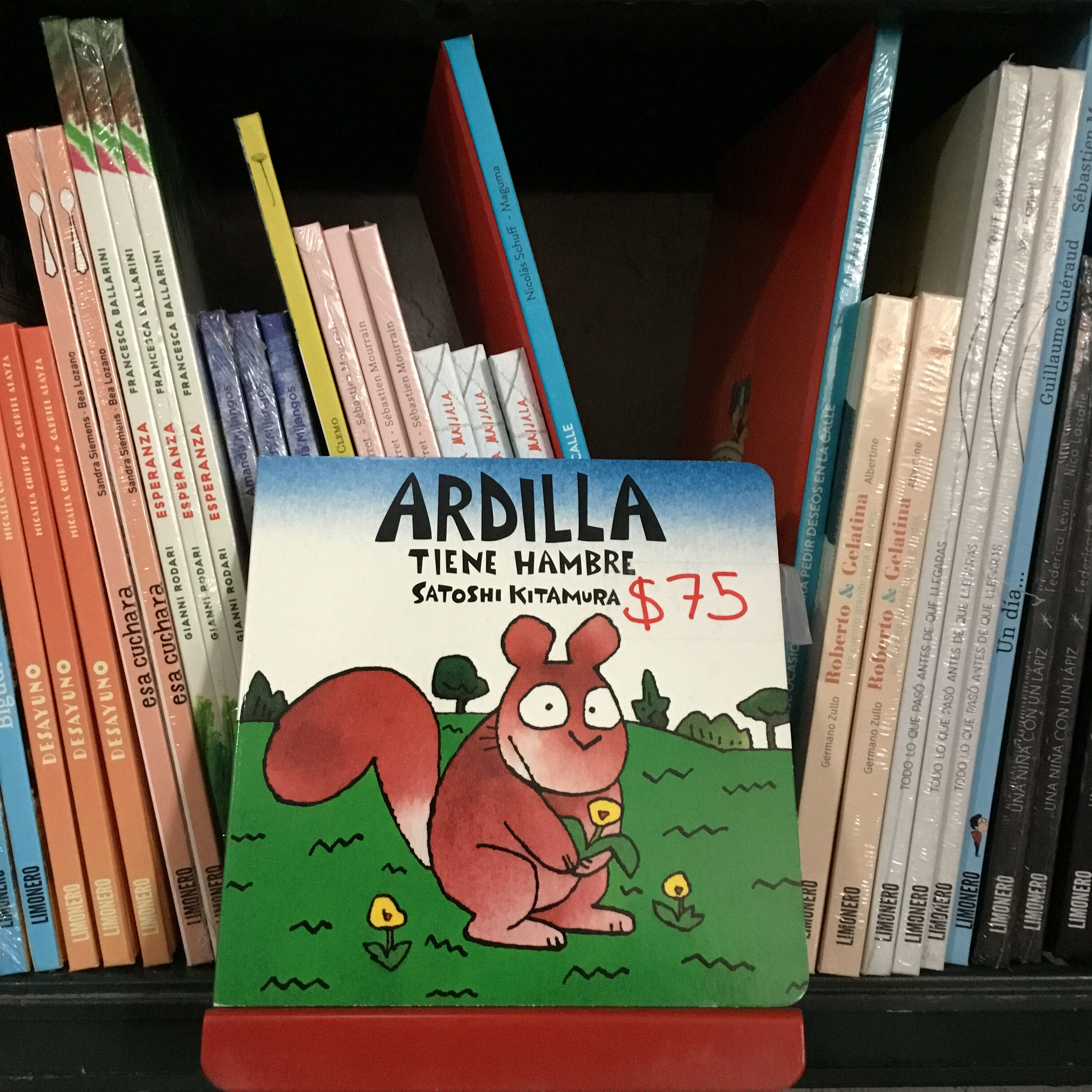 Ardilla tiene hambre