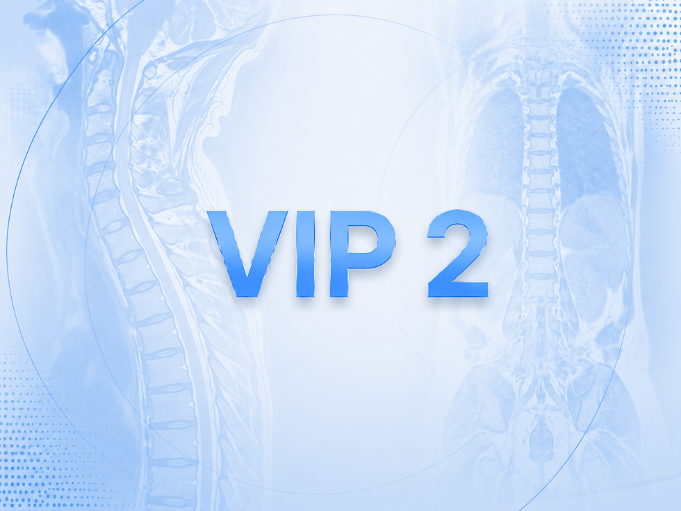 VIP 2